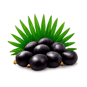 Prostalix — saw palmetto (Serenoa repens) fruit extract